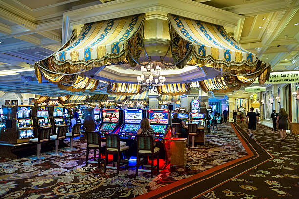 Live Domino QQ dealer studio with multi-camera feed and tile layout